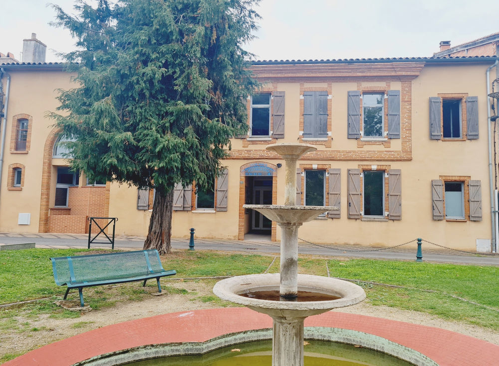 � vendre  Propri�t�/ch�teau Auterive (31190)