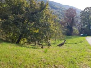  Terrain � vendre 5499 m�