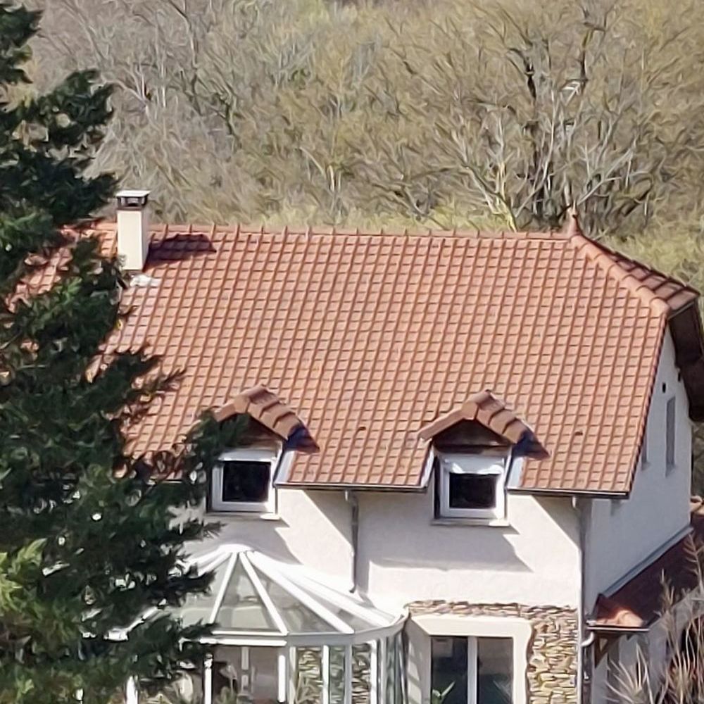 � vendre  Maison Cr�mieu (38460)