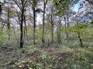  Terrain � vendre 82016 m�