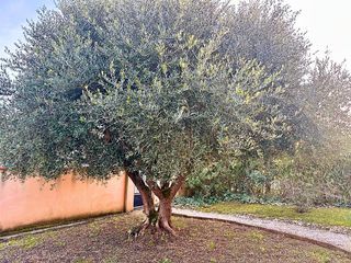  Maison � vendre 9 pi�ces 170 m�