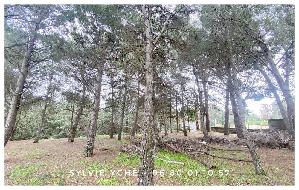 � vendre  Maison Narbonne (11100)