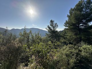  Terrain � vendre 6839 m�