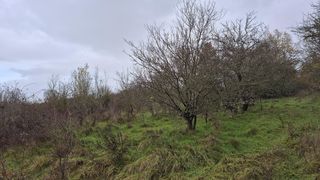  Maison � vendre 6 pi�ces 200 m�