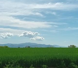  Terrain � vendre 300 m�