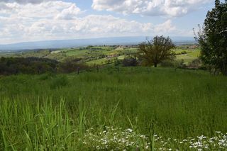  Terrain � vendre 516 m�