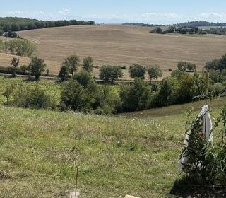  Terrain � vendre 1300 m�