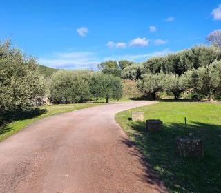  Maison � vendre 7 pi�ces 239 m�