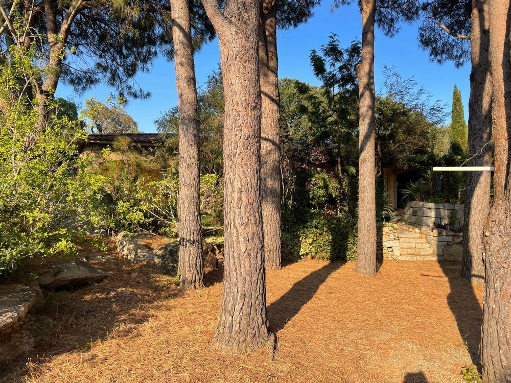 � vendre  Maison Porto-Vecchio (20137)