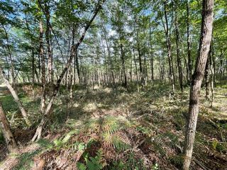  Terrain � vendre 34718 m�