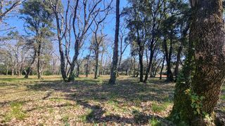  Terrain � vendre 1200 m�