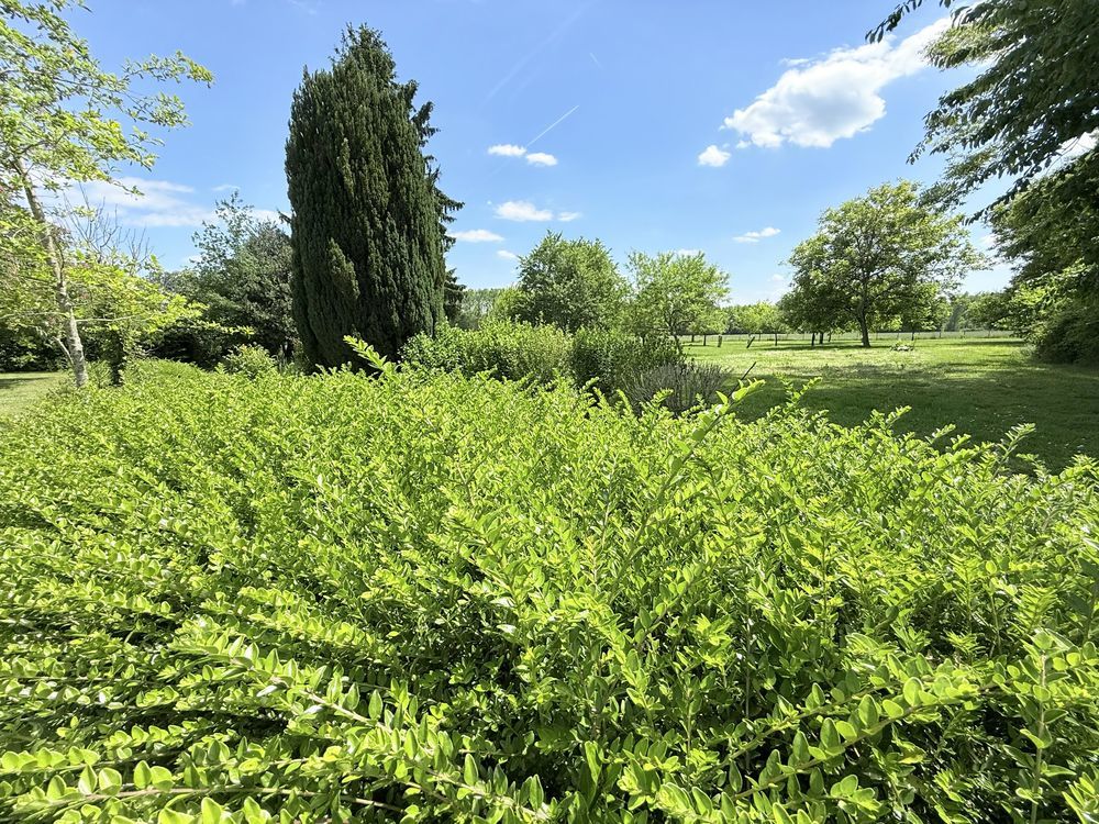 � vendre  Maison Jutigny (77650)