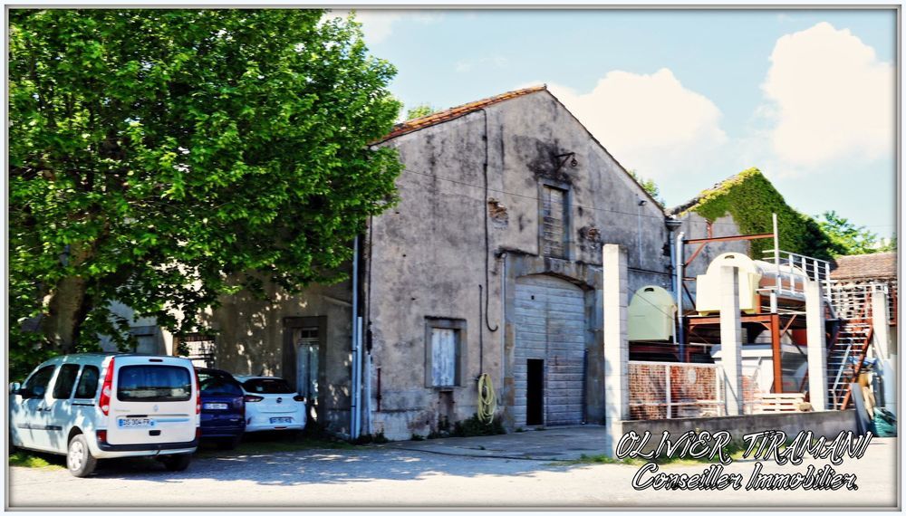 � vendre  Propri�t�/ch�teau Capendu (11700)