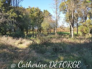  Terrain � vendre 1248 m�