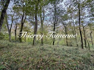  Terrain � vendre 82016 m�