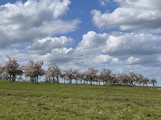  Terrain � vendre 975 m�