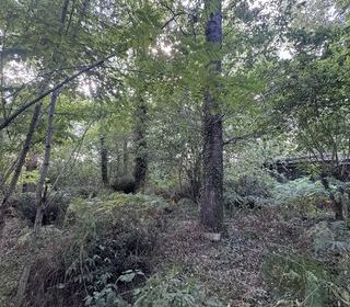  Terrain � vendre 50154 m�