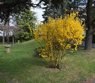  Terrain � vendre 587 m�