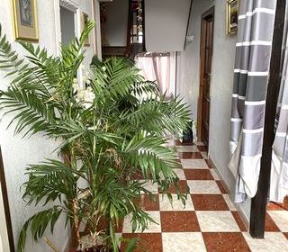  Maison � vendre 7 pi�ces 243 m�