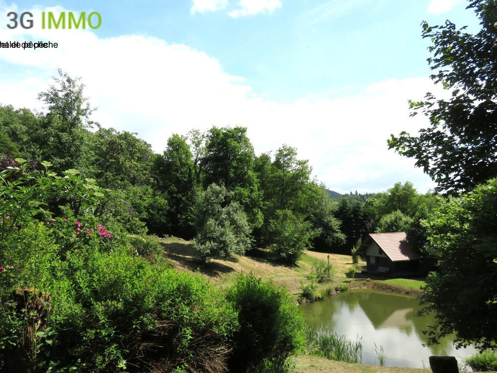 � vendre  Maison Fresse (70270)