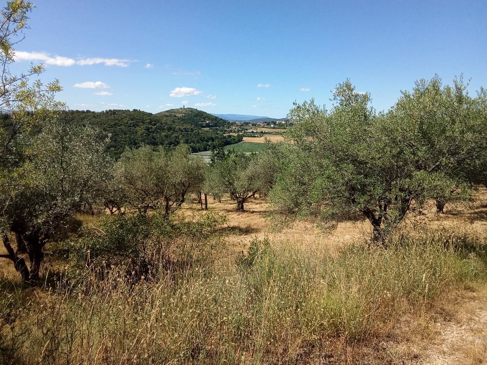 � vendre  Maison Manosque (04100)