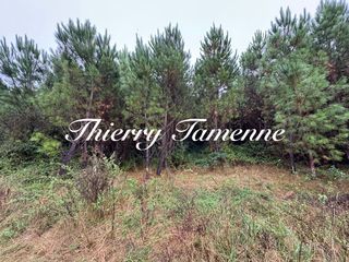  Terrain � vendre 159203 m�