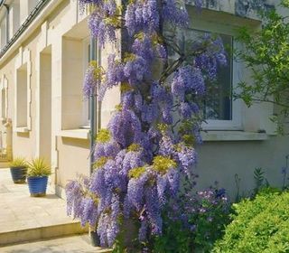  Maison � vendre 10 pi�ces 240 m�