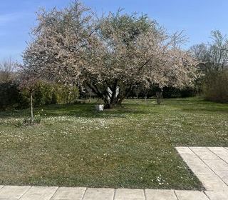  Maison � vendre 6 pi�ces 135 m�