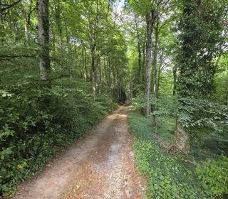  Maison � vendre 7 pi�ces 196 m�