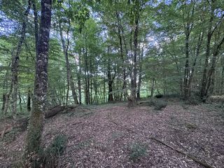  Terrain � vendre 50154 m�