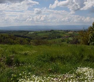  Terrain � vendre 516 m�