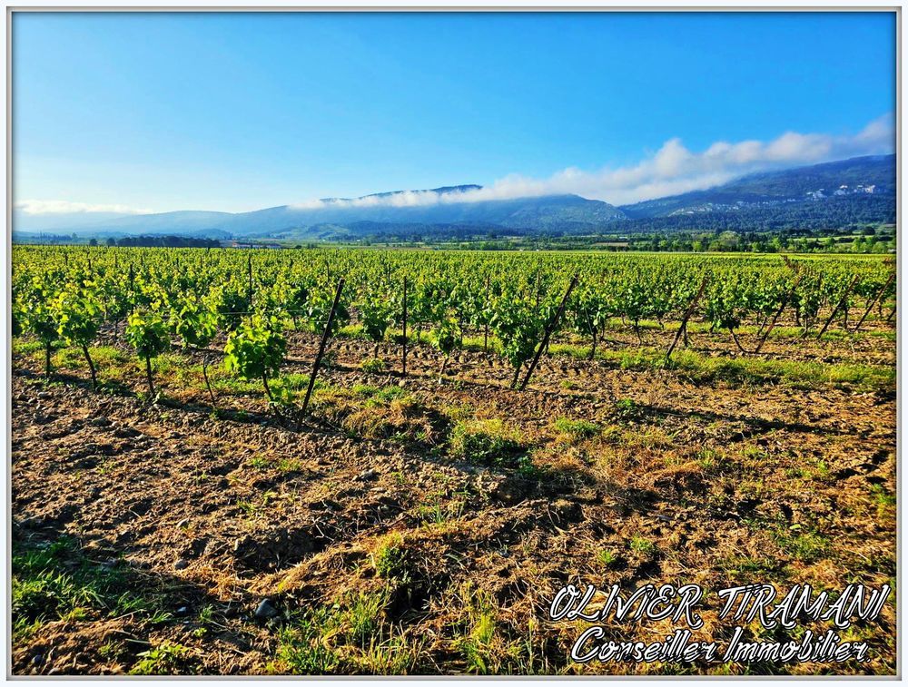 � vendre  Propri�t�/ch�teau Capendu (11700)