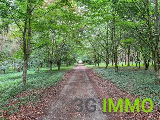  Maison � vendre 10 pi�ces 322 m�