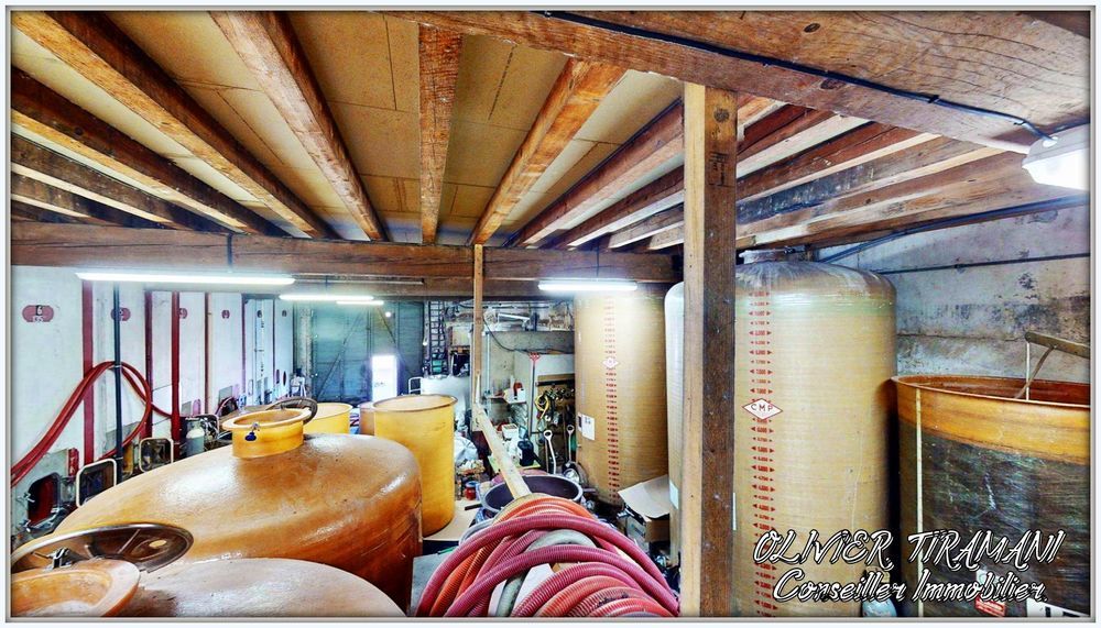 � vendre  Propri�t�/ch�teau Capendu (11700)