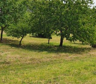  Terrain � vendre 890 m�