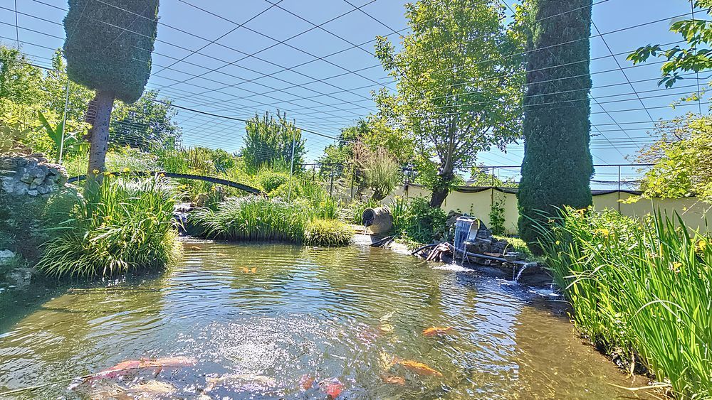 � vendre  Maison Saint-Genis-Laval (69230)