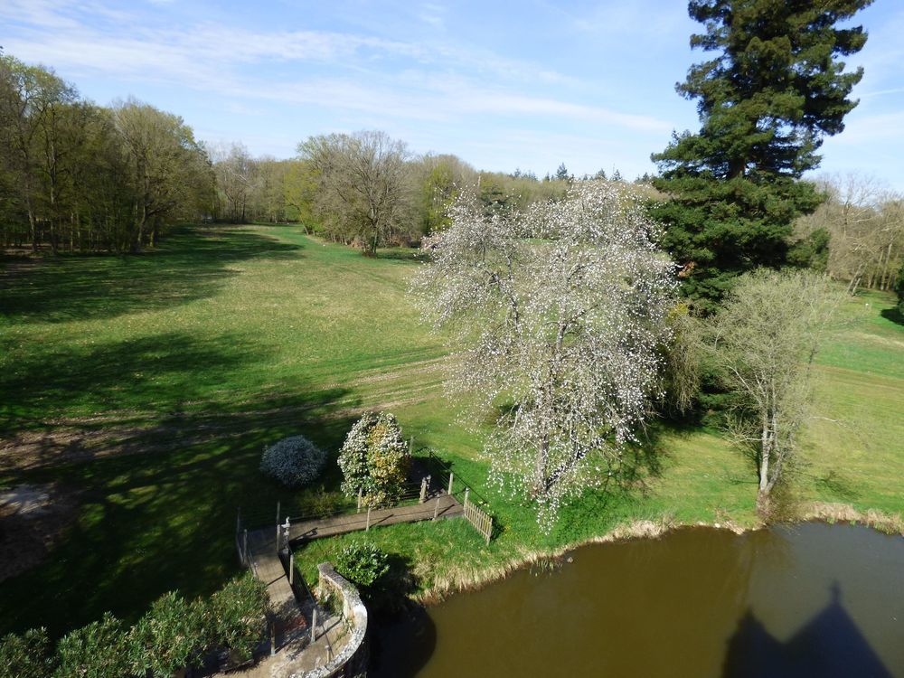 � vendre  Propri�t�/ch�teau Ligni�res (41160)