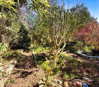  Maison � vendre 3 pi�ces 66 m�