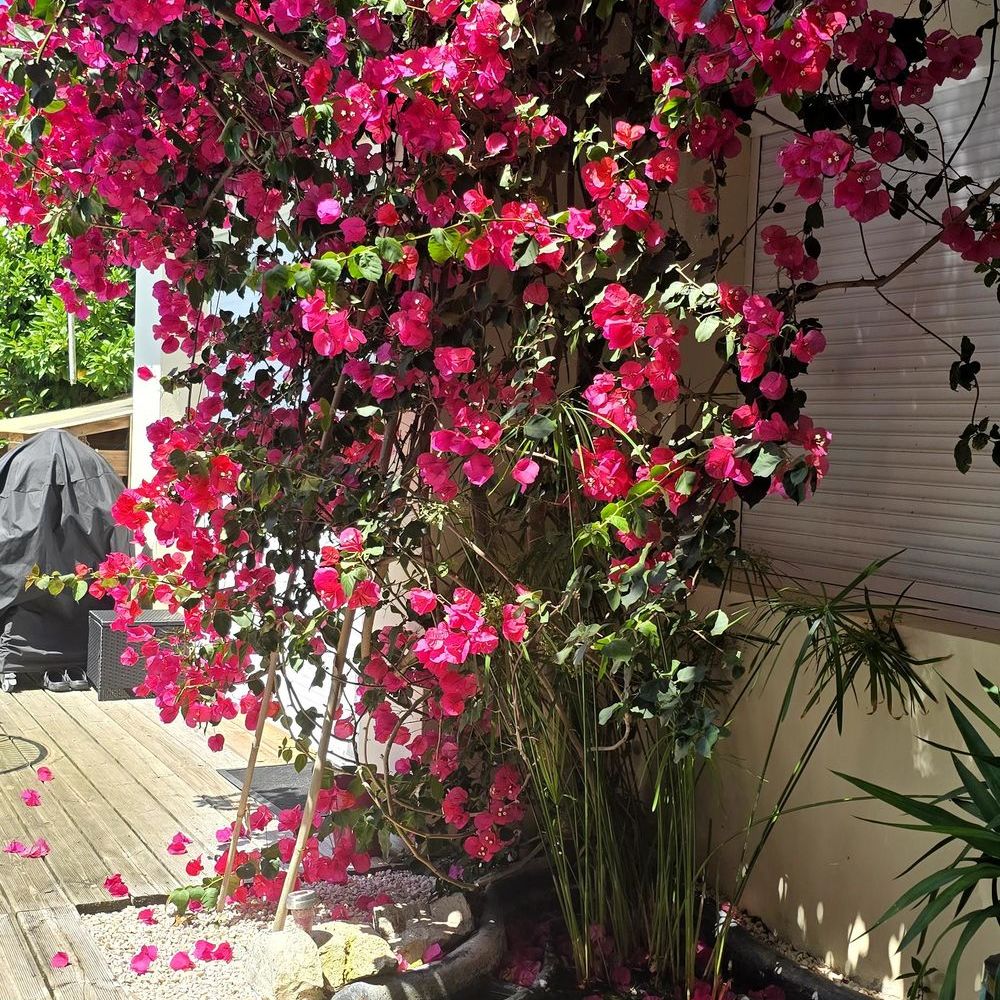 � vendre  Maison Anglet (64600)