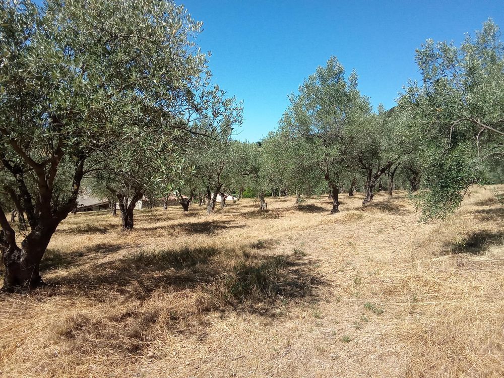 � vendre  Maison Manosque (04100)