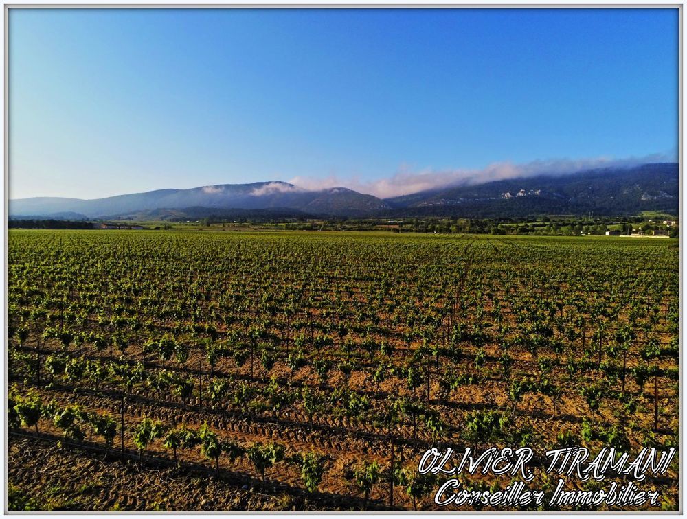 � vendre  Propri�t�/ch�teau Capendu (11700)