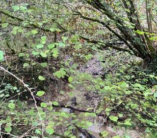  Terrain � vendre 82016 m�