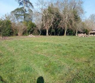  Maison � vendre 7 pi�ces 241 m�