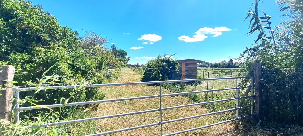 � vendre  Maison Arles (13200)