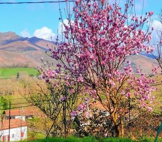  Maison � vendre 8 pi�ces 225 m�