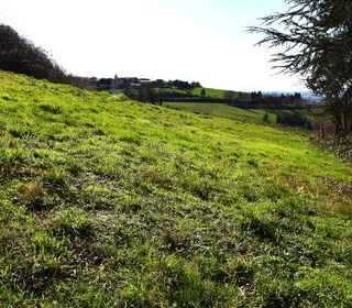  Terrain � vendre 1245 m�