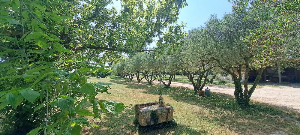 � vendre  Maison Arles (13200)