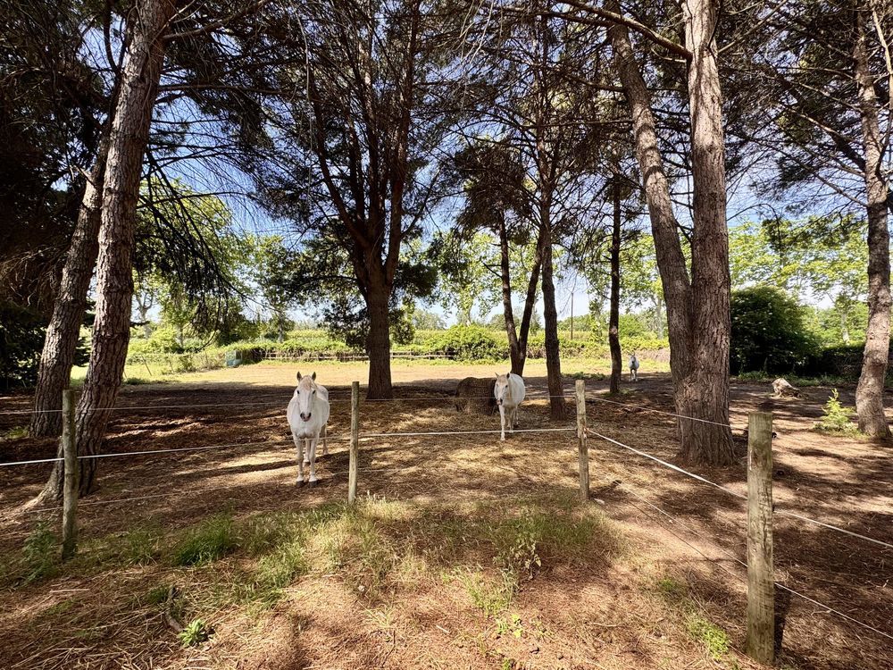 � vendre  Maison B�ziers (34500)