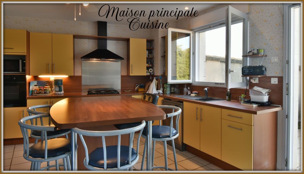 � vendre  Propri�t�/ch�teau Biard (86580)