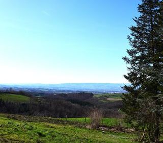  Terrain � vendre 1245 m�